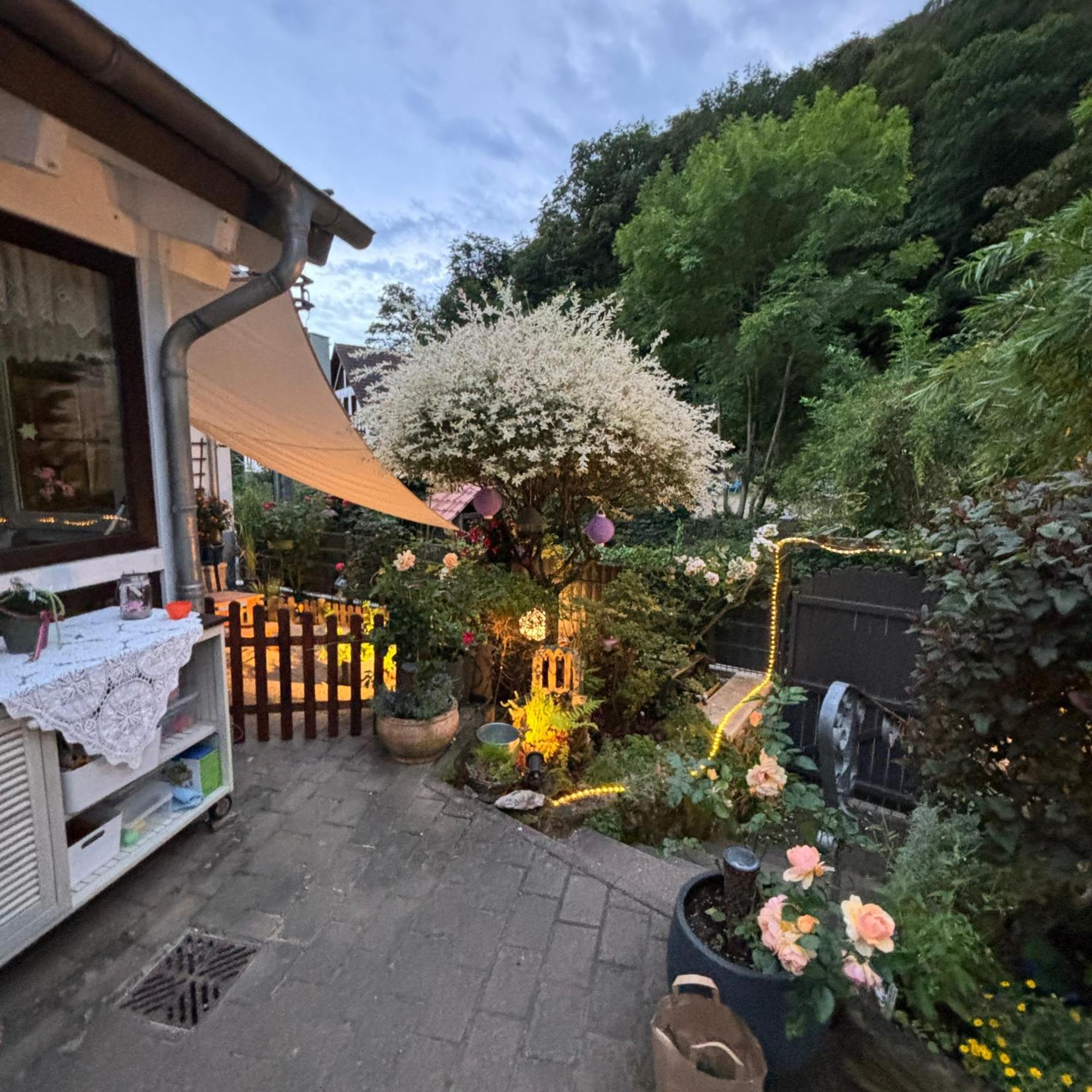 Ferienwohnung Im Morgenbachtal Trechtingshausen 外观 照片