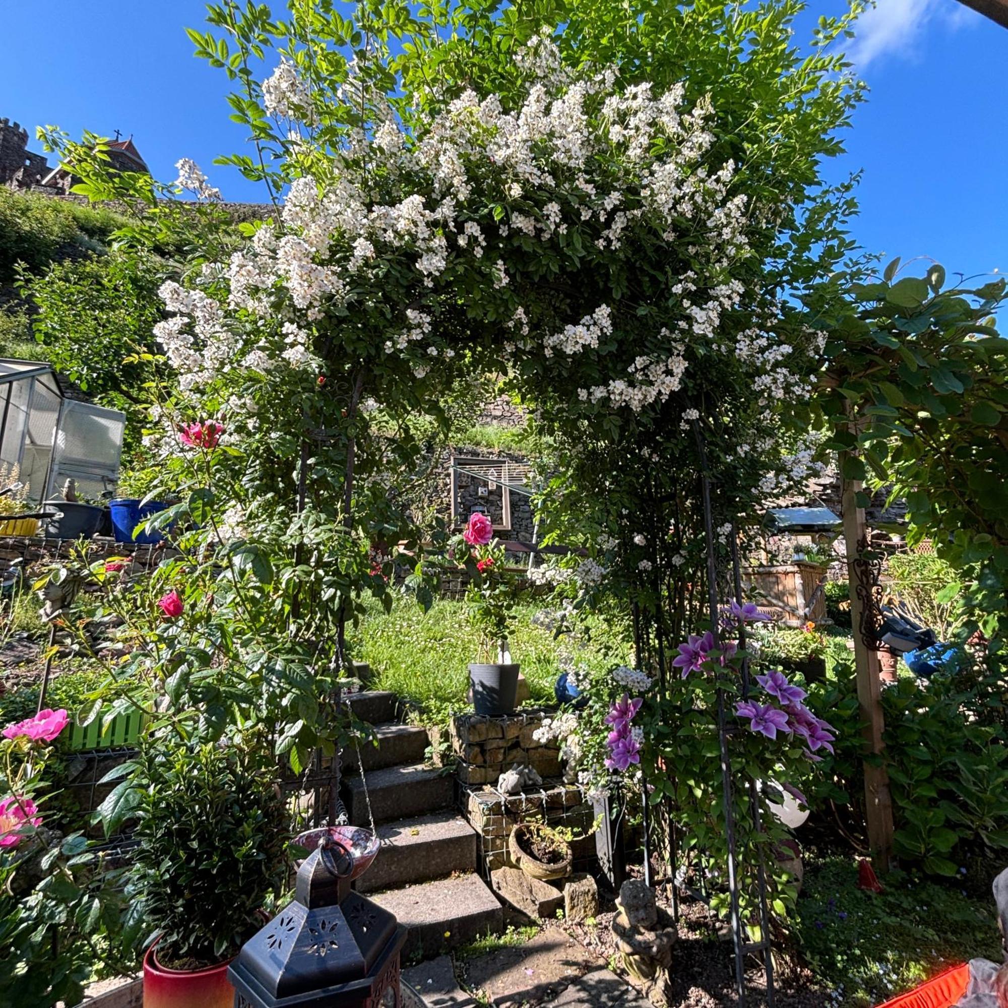 Ferienwohnung Im Morgenbachtal Trechtingshausen 外观 照片