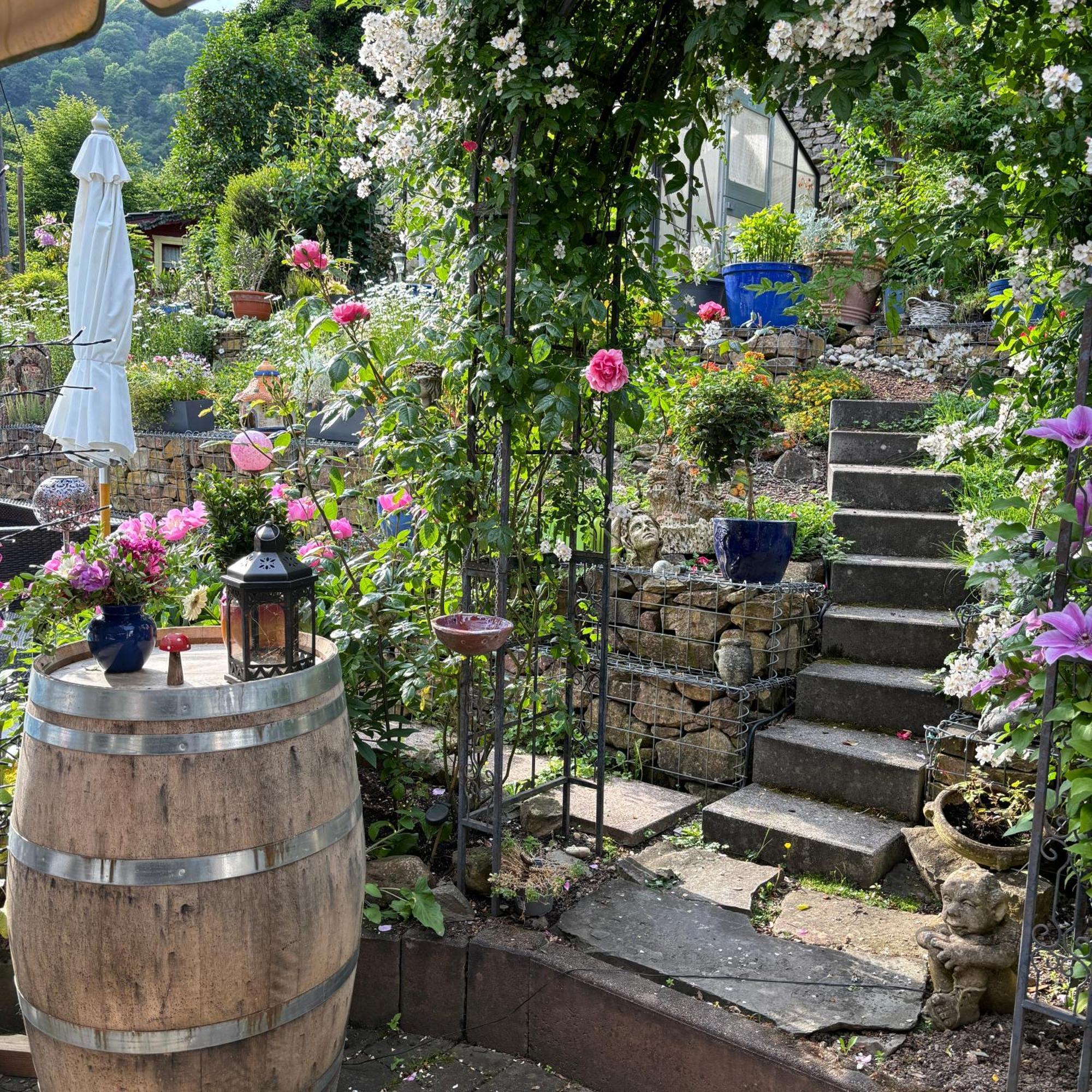 Ferienwohnung Im Morgenbachtal Trechtingshausen 外观 照片